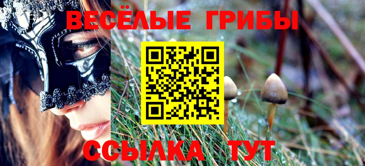 Галлюциногенные грибы Psilocybine cubensis Баксан